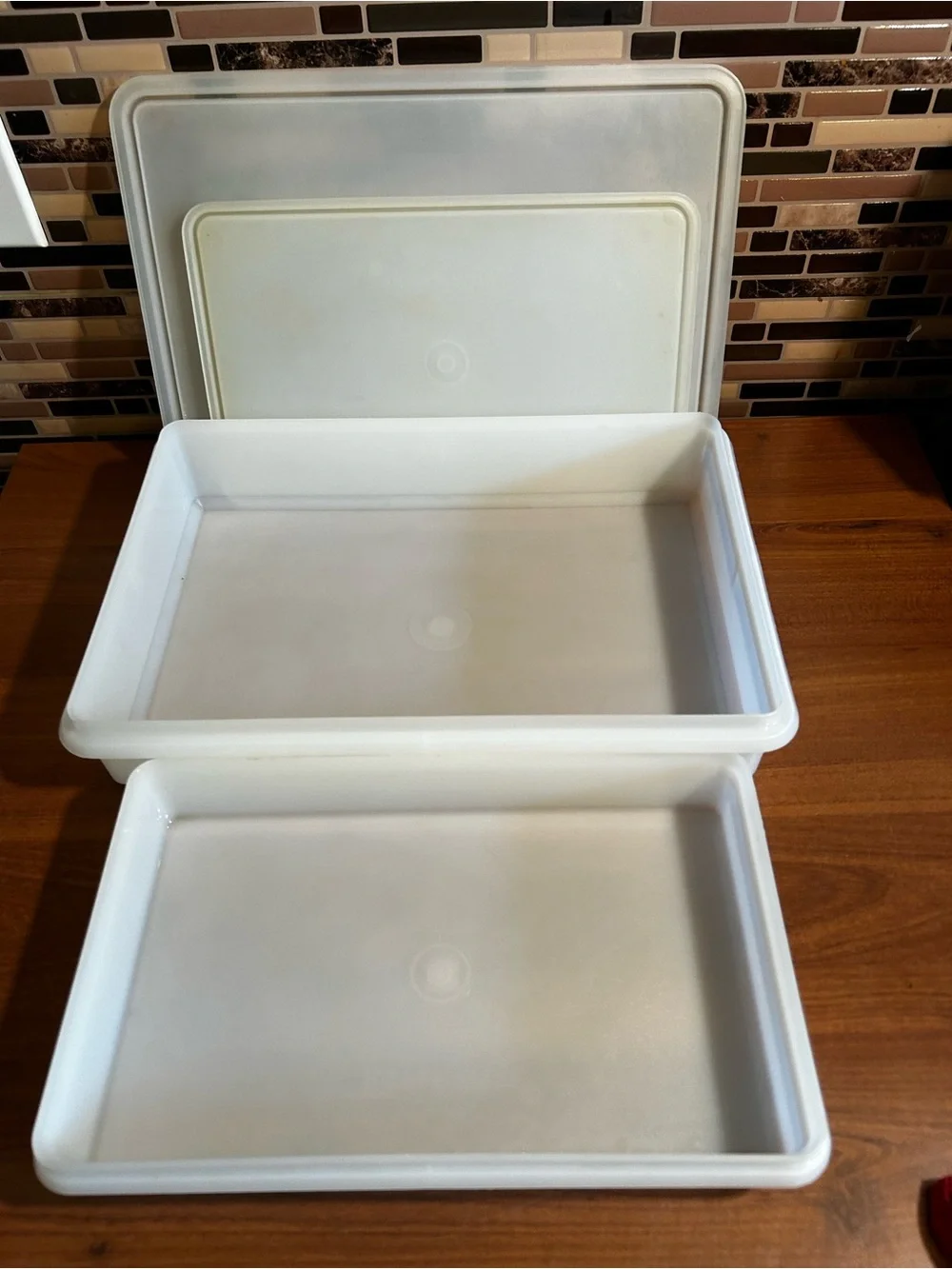 Set of 2 Vintage Tupperware Food Storage Containers with Lids